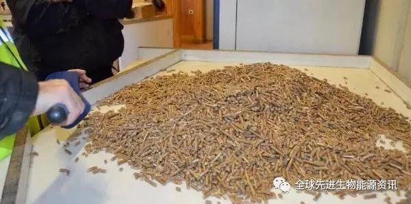 Holzpellet-Test wood pellet test