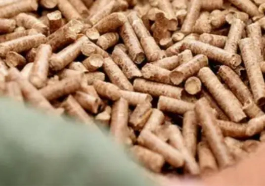 Fünf Schritte, um Ihnen beizubringen, die richtigen Biomassepellets für Sie a...