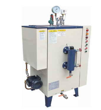 Elektrischer Dampferzeuger